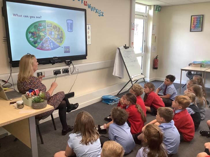 Animals including Humans. What is a healthy balanced diet? 🥦🥗🍎