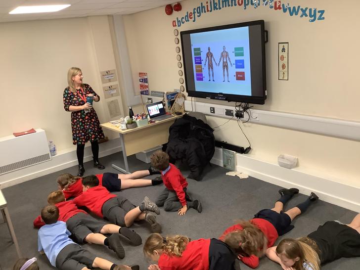 Animals including animals- Understanding how muscles work-Dyslexia friendly learning. 💪